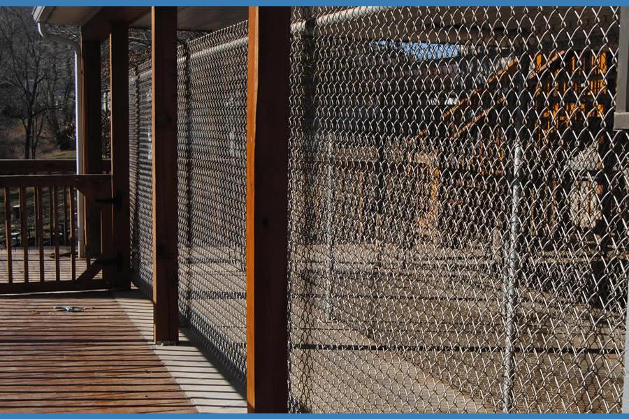 Our kennels are designed with security in mind. All areas, including outdoor runs, provide safe and comfortable spaces for your dog.