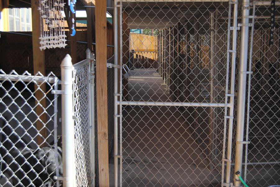 Our kennels feature spacious indoor and outdoor runs, as well as air condititioning and heat.