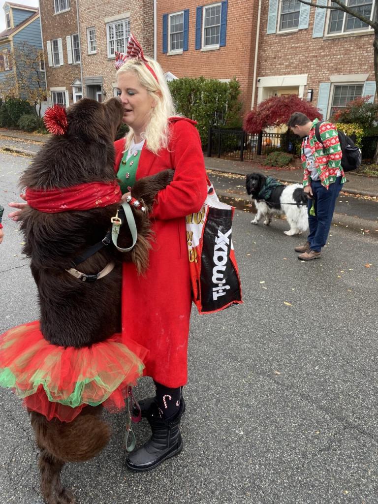Rosie at her town&#039;s Christmas parade