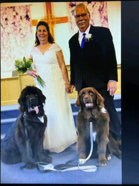 George and Gracie were ring bearers for the owners recent marriage. George barked right on target when they kissed.